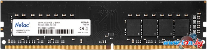 Оперативная память Netac Basic 8GB DDR4 PC4-25600 NTBSD4P32SP-08 в Могилёве