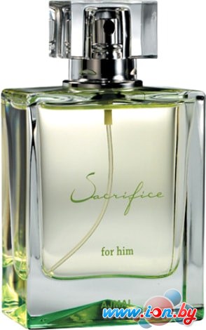 Парфюмерия Ajmal Sacrifice II for him EdP (90 мл) в Могилёве