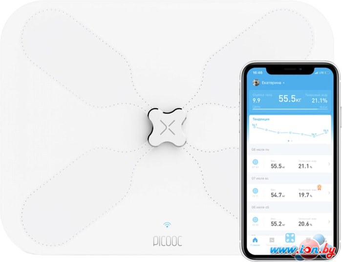 Напольные весы Picooc S3 Lite V2 в Могилёве