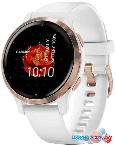 Умные часы Garmin Venu 2S (розовое золото/белый) в Могилёве