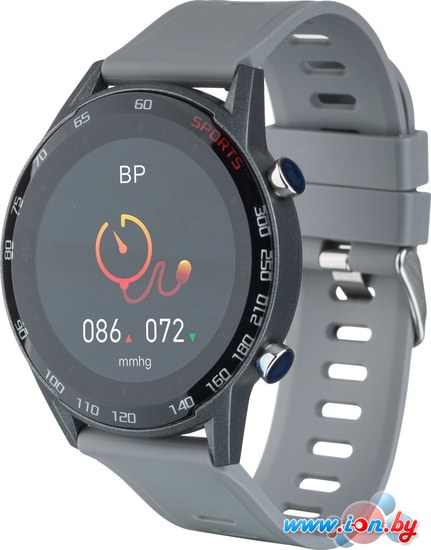 Умные часы Globex Smart Watch Me 2 V33T (серый) в Гомеле