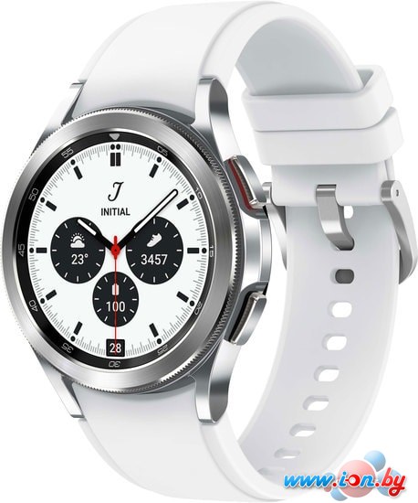 Умные часы Samsung Galaxy Watch4 Classic 42мм (серебро) в Гомеле