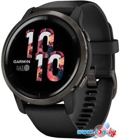 Умные часы Garmin Venu 2 (сланцевая нержавеющая сталь/черный) в Гродно