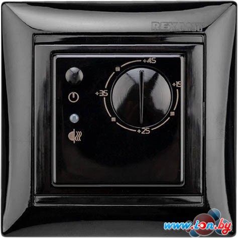 Терморегулятор Rexant RX-308B 51-0816 (черный) в Гомеле