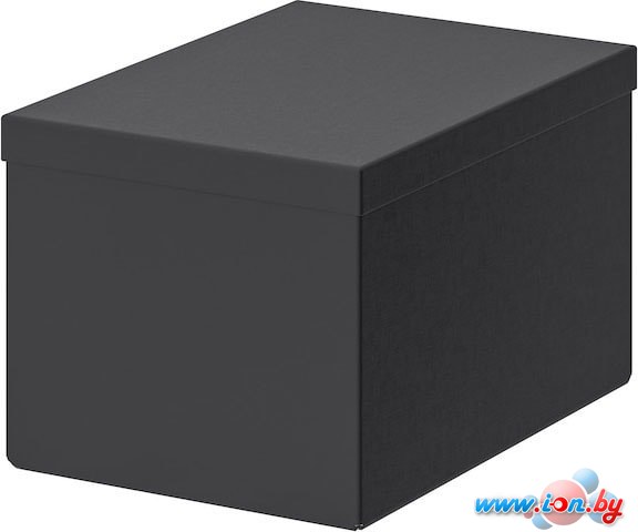 Коробка для хранения Ikea Тьена (черный) 103.954.78 в Бресте