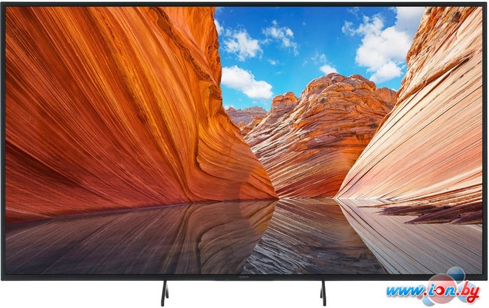 Телевизор Sony KD-65X81J в Гродно