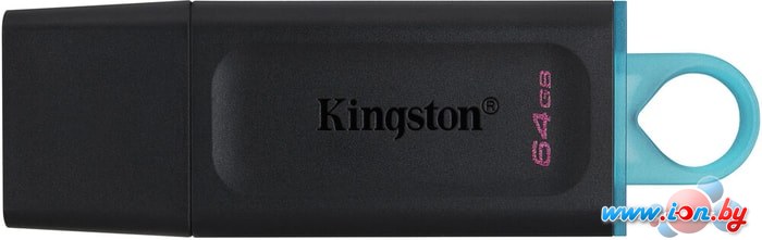 USB Flash Kingston Exodia 64GB в Гродно