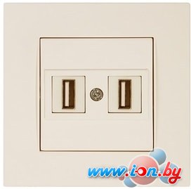 Розетка USB Mutlusan 2220 456 0102 в Витебске