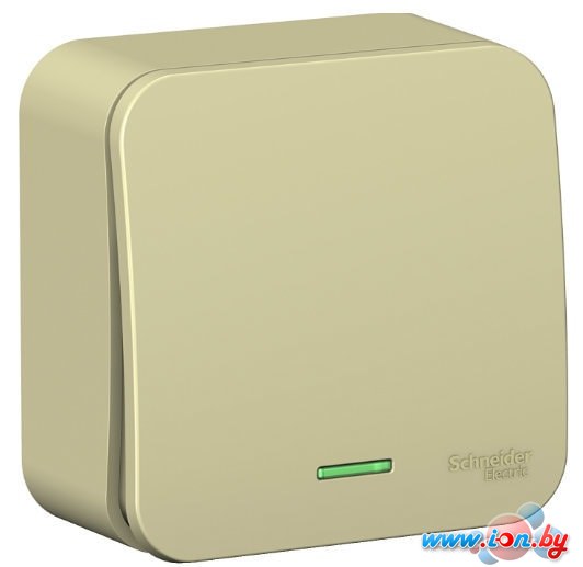 Выключатель Schneider Electric Blanca BLNVA101117 в Могилёве