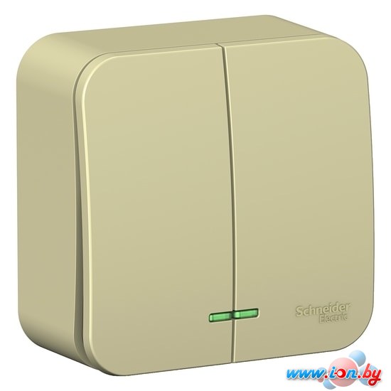 Выключатель Schneider Electric Blanca BLNVA105117 в Минске