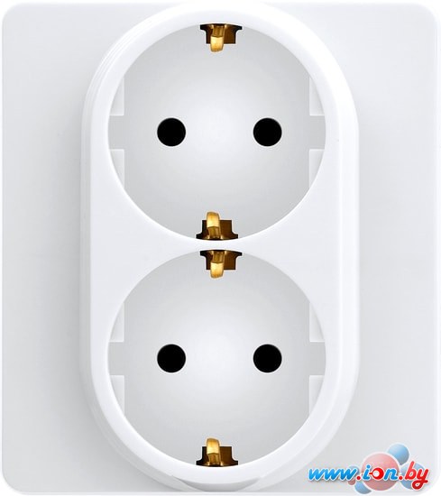 Розетка Legrand Inspiria 673750 в Могилёве
