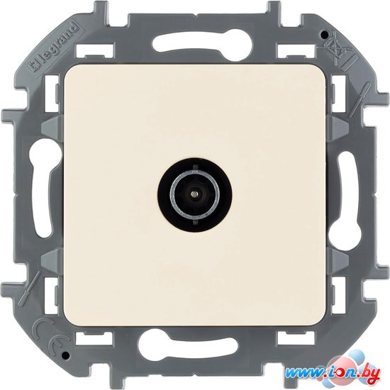 Розетка телевизионная Legrand Inspiria 673851 в Могилёве