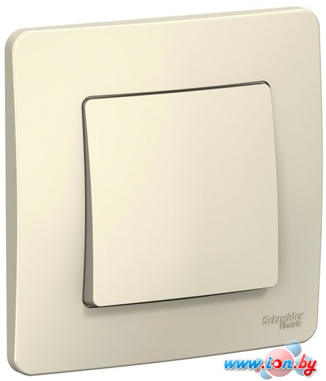 Выключатель Schneider Electric Blanca BLNVS010602 в Гомеле