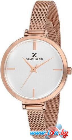 Наручные часы Daniel Klein DK11757-3 в Бресте