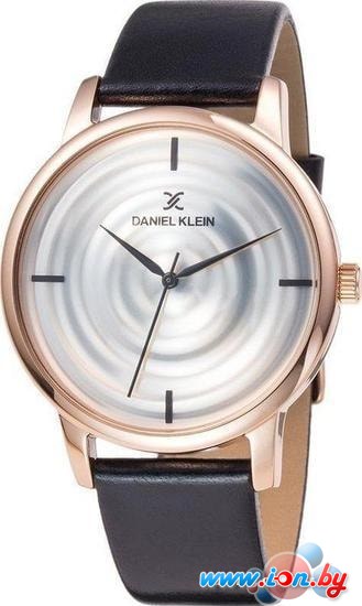 Наручные часы Daniel Klein DK11848-3 в Бресте