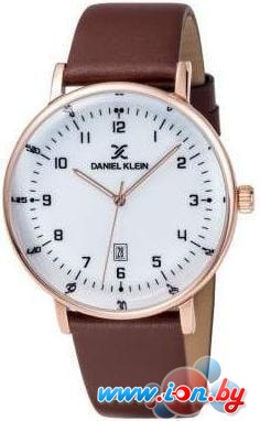 Наручные часы Daniel Klein DK12009-6 в Могилёве