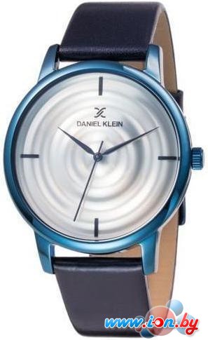 Наручные часы Daniel Klein DK11848-4 в Бресте