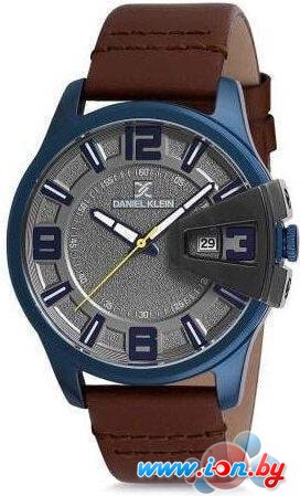 Наручные часы Daniel Klein DK12161-4 в Бресте