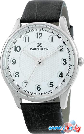 Наручные часы Daniel Klein DK12360-4 в Бресте