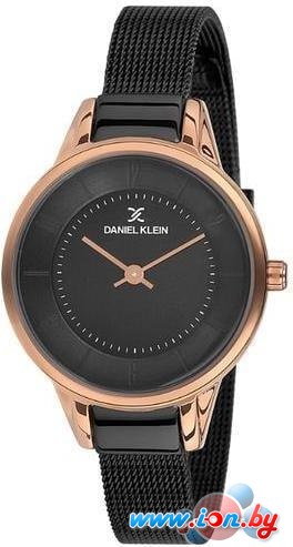 Наручные часы Daniel Klein DK11790-4 в Могилёве