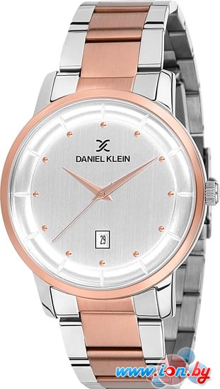 Наручные часы Daniel Klein Premium DK12170-5 в Бресте