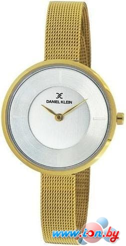 Наручные часы Daniel Klein DK11542-2 в Бресте