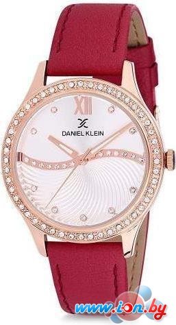 Наручные часы Daniel Klein DK12207-7 в Витебске