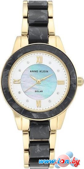 Наручные часы Anne Klein 3610GPBK в Могилёве