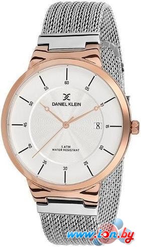 Наручные часы Daniel Klein DK11782-4 в Бресте