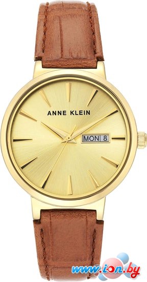 Наручные часы Anne Klein 3824CHHY в Могилёве