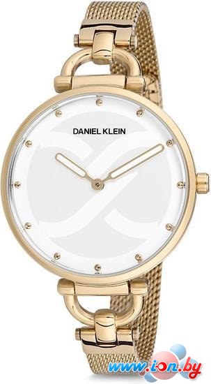 Наручные часы Daniel Klein DK12064-3 в Могилёве