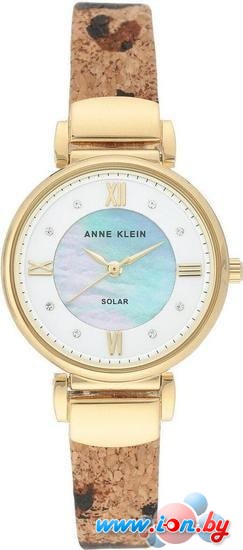 Наручные часы Anne Klein 3660MPLE в Могилёве