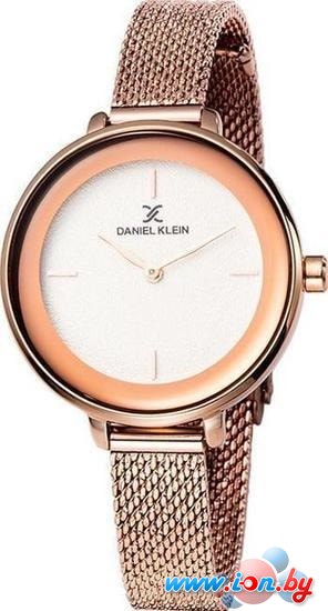 Наручные часы Daniel Klein DK11960-2 в Бресте