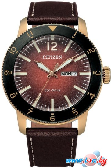 Наручные часы Citizen AW0079-13X в Могилёве