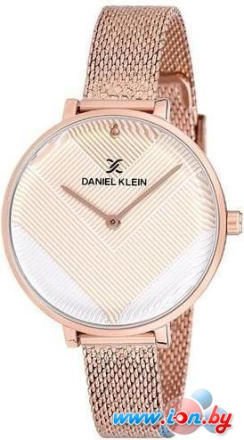 Наручные часы Daniel Klein DK12049-3 в Бресте