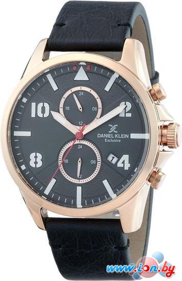 Наручные часы Daniel Klein DK12344-4 в Гомеле