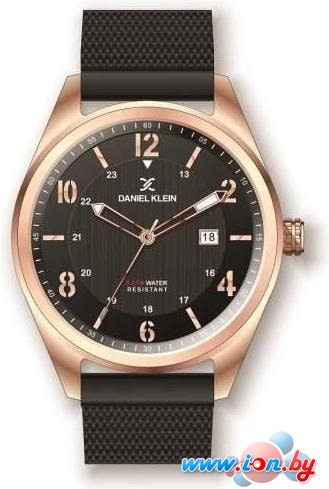 Наручные часы Daniel Klein DK11743-7 в Витебске