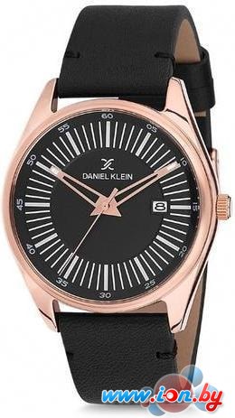 Наручные часы Daniel Klein DK12115-2 в Витебске