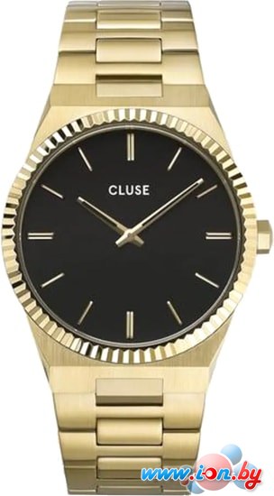 Наручные часы Cluse Vigoureux CW0101503007 в Могилёве