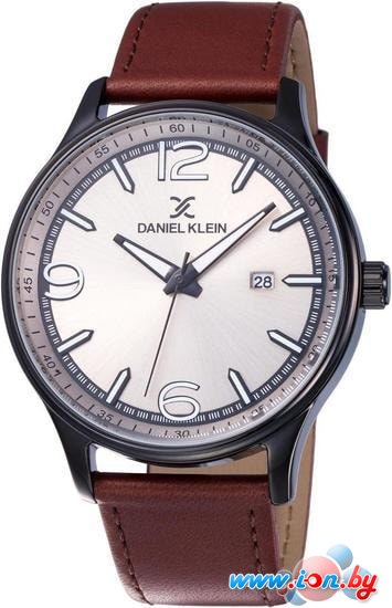 Наручные часы Daniel Klein DK12019-6 в Бресте