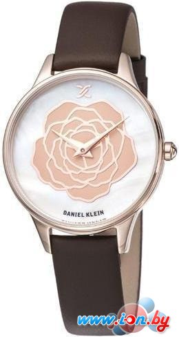 Наручные часы Daniel Klein DK11812-2 в Могилёве