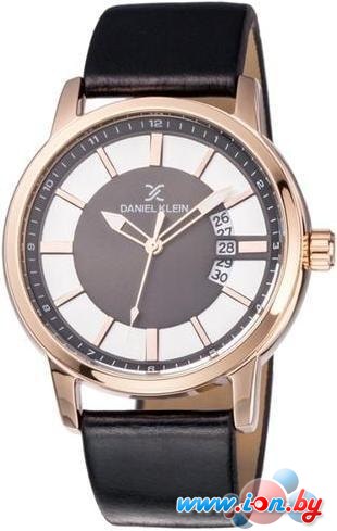 Наручные часы Daniel Klein DK11836-2 в Бресте