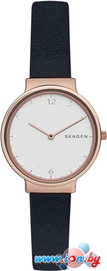 Наручные часы Skagen SKW2608 в Гомеле