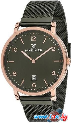 Наручные часы Daniel Klein DK11765-6 в Бресте