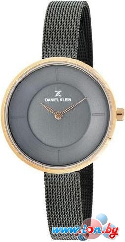 Наручные часы Daniel Klein DK11542-7 в Бресте