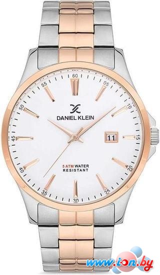 Наручные часы Daniel Klein DK12755-4 в Могилёве