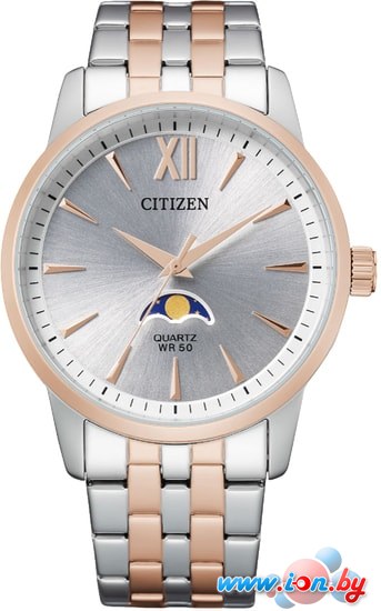 Наручные часы Citizen AK5006-58A в Гомеле