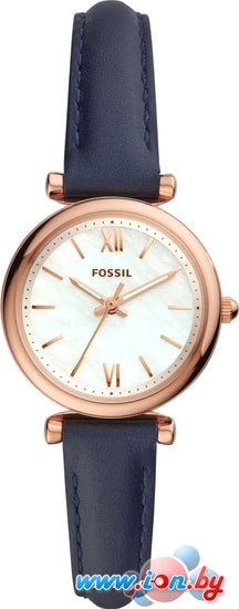 Наручные часы Fossil Carlie Mini ES4502 в Могилёве