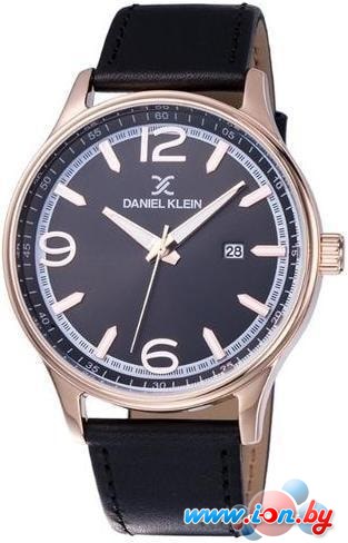 Наручные часы Daniel Klein DK12019-4 в Могилёве