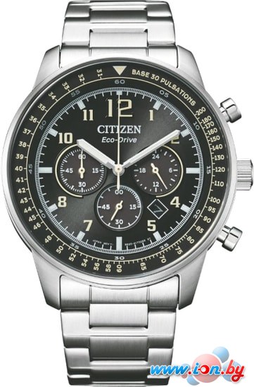 Наручные часы Citizen Eco-Drive CA4500-83E в Бресте